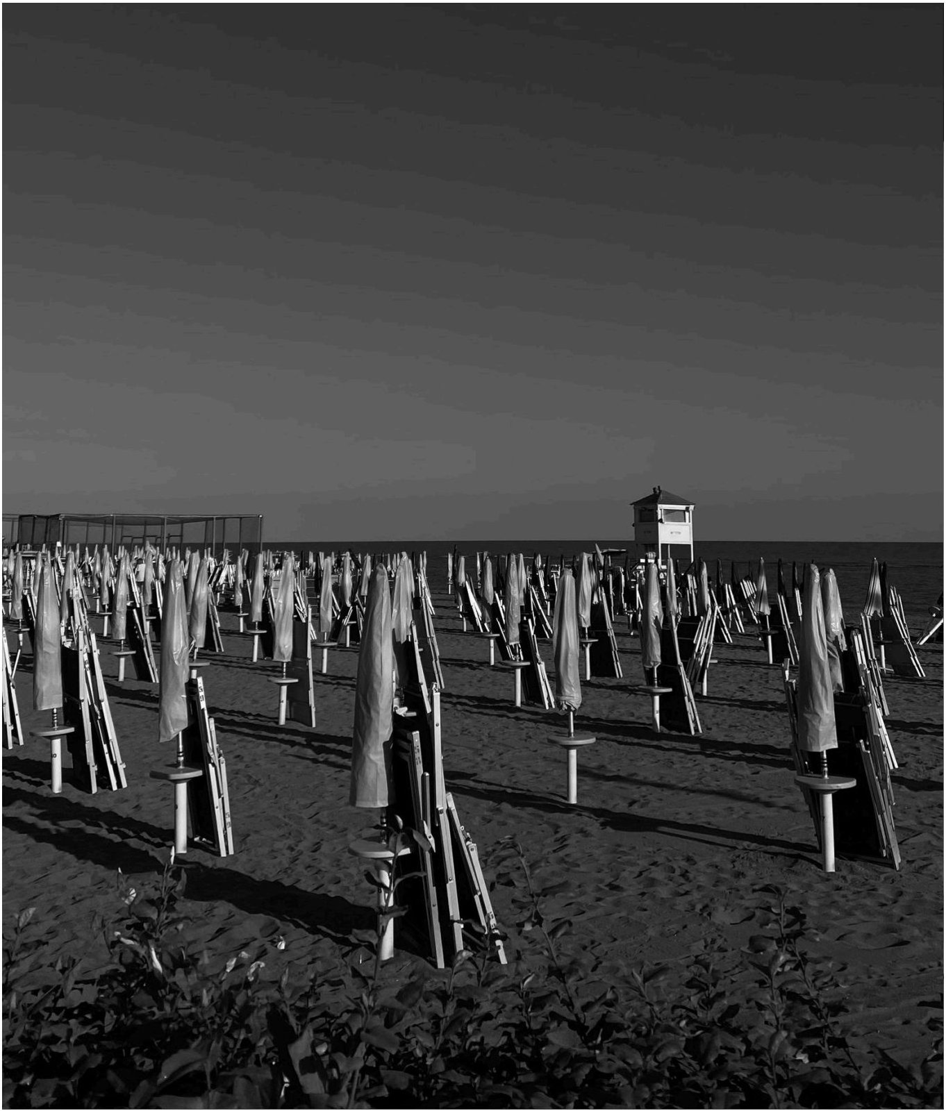 Beach umbrellas
